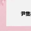 尹集村（關于尹集村簡介）