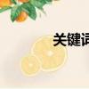 關鍵詞（關于關鍵詞的簡介）