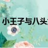 小王子與八頭龍（關于小王子與八頭龍簡介）