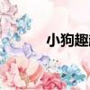 小狗趣趣（關于小狗趣趣簡介）