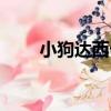 小狗達西卡（關于小狗達西卡簡介）