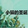 小貓的圣誕日（關于小貓的圣誕日簡介）