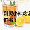 劍靈小神龍證書去哪里兌換獎勵（劍靈小神龍證書）