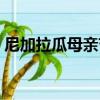 尼加拉瓜母親節（關于尼加拉瓜母親節簡介）
