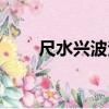 尺水興波法（關于尺水興波法簡介）