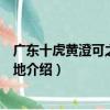 廣東十虎黃澄可之荊天棘地（關于廣東十虎黃澄可之荊天棘地介紹）