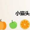 小貓頭鷹（關于小貓頭鷹簡介）