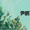 尹鵬飛（關于尹鵬飛簡介）