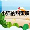 小貓的甜蜜嘆息（關于小貓的甜蜜嘆息簡介）