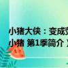 小豬大俠：變成熒光小豬 第1季（關于小豬大俠：變成熒光小豬 第1季簡介）
