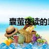 囊螢夜讀的意思10字（囊螢夜讀的意思）