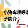 小豬唏哩呼嚕賣橘子（關于小豬唏哩呼嚕賣橘子簡介）