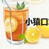 小猿口算（關于小猿口算簡介）