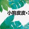 小狗皮皮·11（關于小狗皮皮·11簡介）