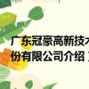 廣東冠豪高新技術股份有限公司（關于廣東冠豪高新技術股份有限公司介紹）