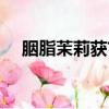 胭脂茉莉獲首屆唐剛詩歌獎（胭脂茉莉）