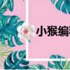 小猴編程（關于小猴編程簡介）