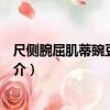 尺側腕屈肌蒂豌豆骨骨瓣（關于尺側腕屈肌蒂豌豆骨骨瓣簡介）