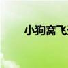 小狗窩飛天（關于小狗窩飛天簡介）
