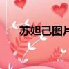 蘇妲己圖片（關于蘇妲己圖片的簡介）