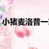 小豬麥洛普一家（關于小豬麥洛普一家簡介）