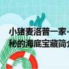 小豬麥洛普一家-神秘的海底寶藏（關于小豬麥洛普一家-神秘的海底寶藏簡介）