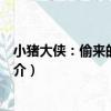 小豬大俠：偷來的男主角（關于小豬大俠：偷來的男主角簡介）