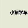 小豬學車記（關于小豬學車記簡介）