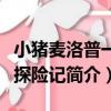 小豬麥洛普一家探險記（關于小豬麥洛普一家探險記簡介）