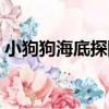 小狗狗海底探險（關于小狗狗海底探險簡介）