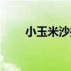 小玉米沙拉（關于小玉米沙拉簡介）