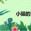 小貓的窩（關于小貓的窩簡介）