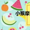 小猴摩托（關于小猴摩托簡介）