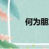 何為朋友人生感悟（何為朋友）