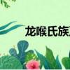 龍喉氏族聲望代碼（龍喉氏族聲望）