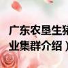廣東農墾生豬產業集群（關于廣東農墾生豬產業集群介紹）