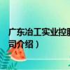 廣東冶工實業控股有限公司（關于廣東冶工實業控股有限公司介紹）