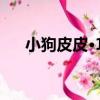 小狗皮皮·14（關于小狗皮皮·14簡介）
