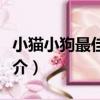 小貓小狗最佳伙伴（關于小貓小狗最佳伙伴簡介）