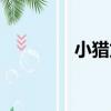 小獵龍（關于小獵龍簡介）