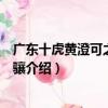 廣東十虎黃澄可之云起龍驤（關于廣東十虎黃澄可之云起龍驤介紹）