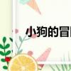小狗的冒險（關于小狗的冒險簡介）