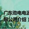 廣東勁電電源有限公司（關于廣東勁電電源有限公司介紹）