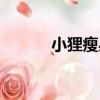小貍瘦身（關于小貍瘦身簡介）