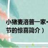 小豬麥洛普一家·圣誕節的驚喜（關于小豬麥洛普一家·圣誕節的驚喜簡介）