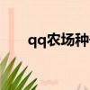 qq農場種子精華攻略（qq農場種子）