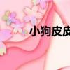 小狗皮皮7（關于小狗皮皮7簡介）