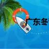 廣東冬青（關于廣東冬青介紹）
