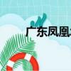 廣東鳳凰塔（關于廣東鳳凰塔介紹）