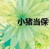 小豬當保鏢（關于小豬當保鏢簡介）